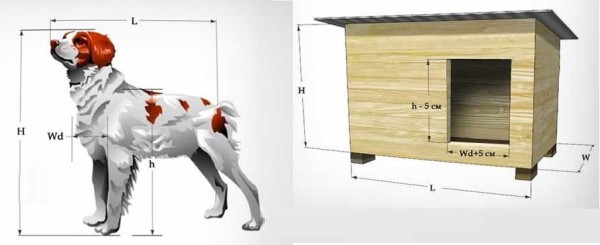 Dimensionnement d'un chenil