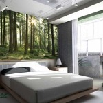 Matin dans les bois - parfait pour se lever au travail