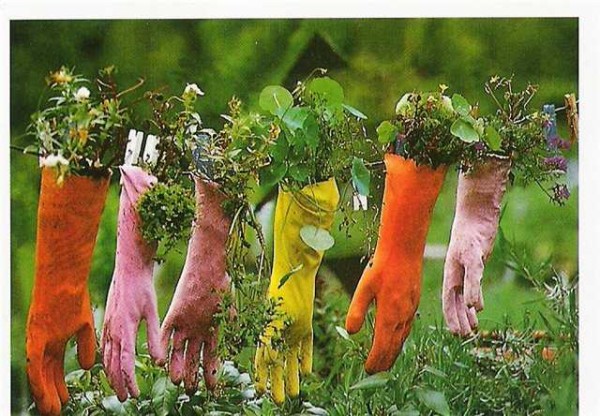 Parterres de gants suspendus