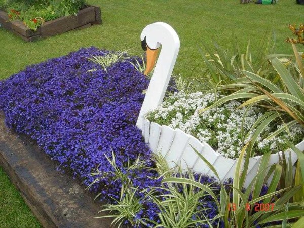 Jardin de fleurs de cygne à partir de planches