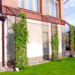 Beaux treillis pour plantes grimpantes