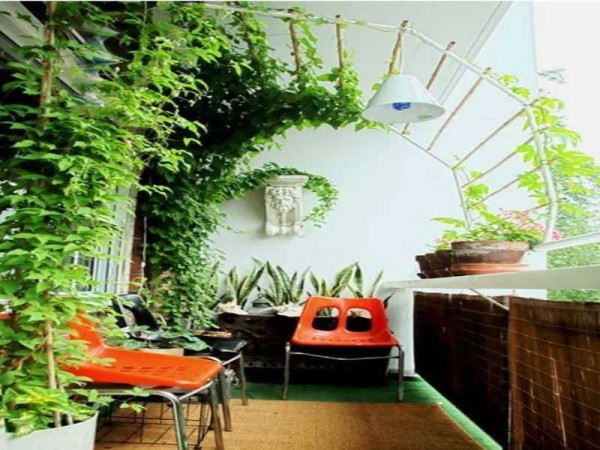 Jardin d'été sur loggia ouverte