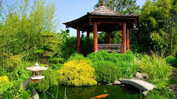 conception d & # 39; étang dans le jardin