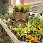 Parterre de fleurs à plusieurs niveaux dans un design de jardin rustique