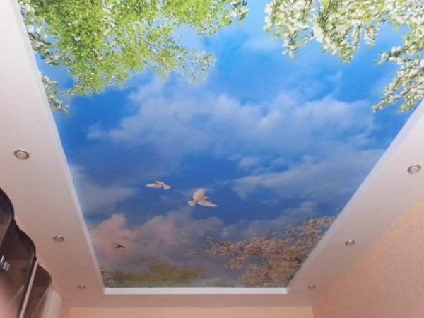 Impression photo au plafond