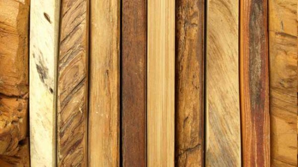 Voici à quoi ressemble un bois ordinaire.