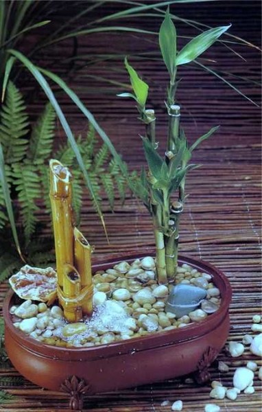 Mini fontaine maison bricolage