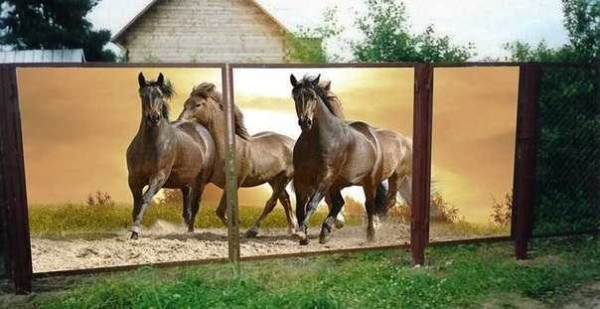 Vous pouvez commander le dessin vous-même: au moins des chevaux, au moins des chiens de garde)))