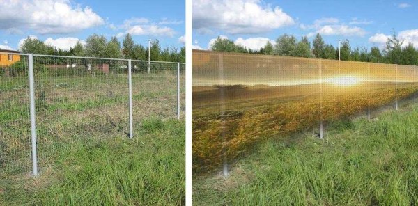 Une grille photo en rouleau est déployée avec une bande continue
