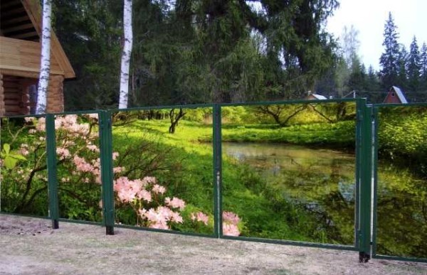 Choisissez l'image à votre goût
