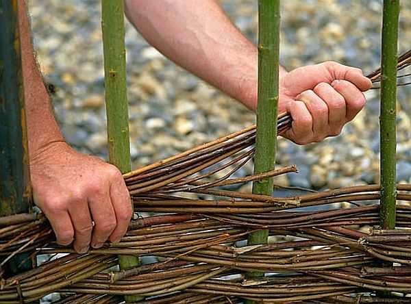 Vous pouvez utiliser de nombreuses brindilles minces