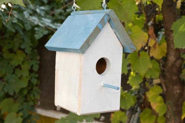 Si une telle maison est accrochée à un bouleau, elle sera invisible