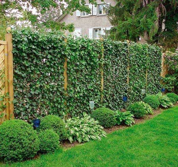 Le moyen le plus naturel est de planter des plantes