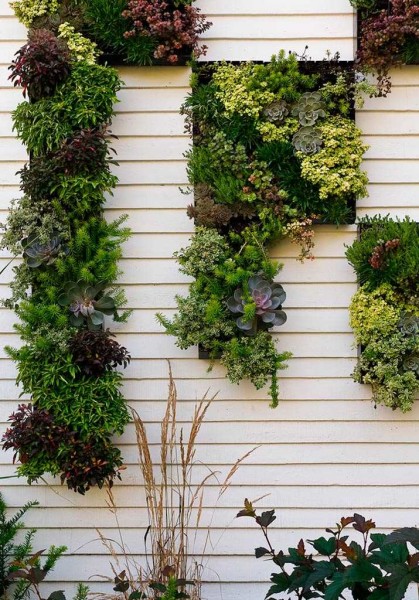 Le mur de la maison peut également être décoré de la même manière.
