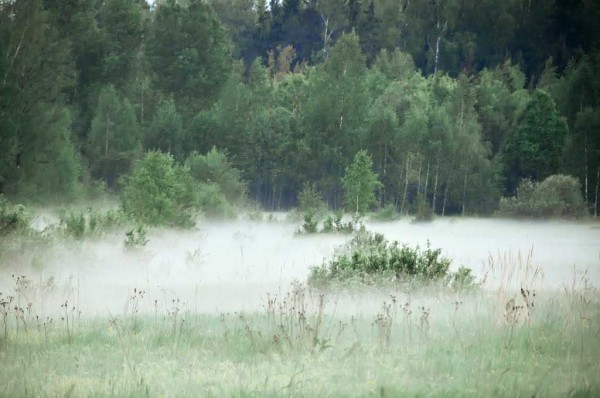 Par la concentration de brouillard, vous pouvez déterminer où l'eau est plus proche