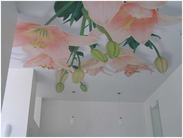 L'impression photo ne peut être appliquée qu'au tissu