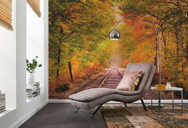 La forêt d'automne favorise la détente