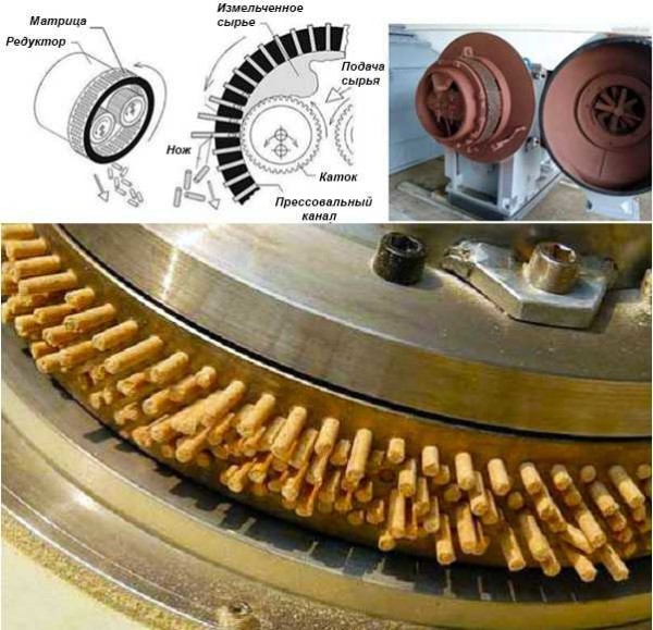 Dispositif de granulateur cylindrique