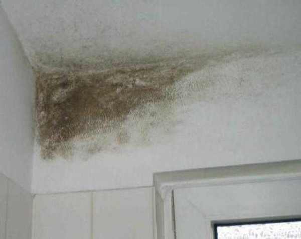 Isolation des murs de l'intérieur: les conséquences