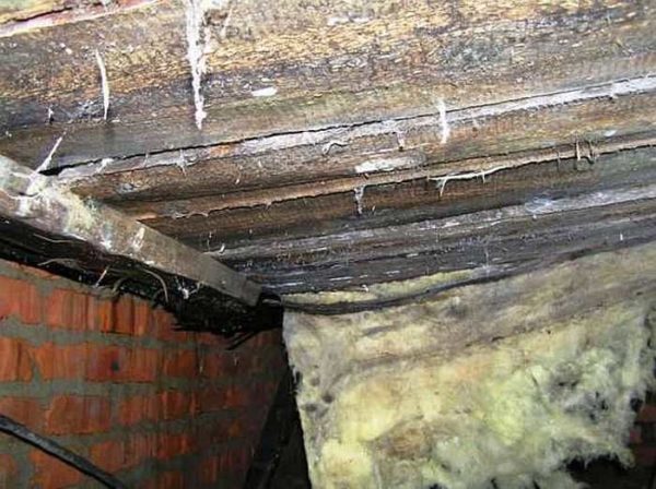 Voici à quoi ressemble un sous-sol après quelques mois sans ventilation.