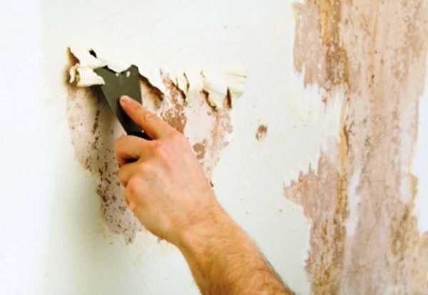 Frotter la vieille peinture des murs le plus souvent avec une spatule