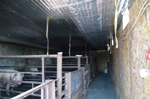 Il ne fait pas froid sur le sol en béton avec isolation
