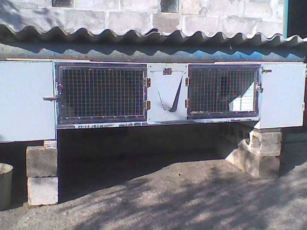 Le toit d'une cage à lapin (lapin d'été) peut être en ardoise
