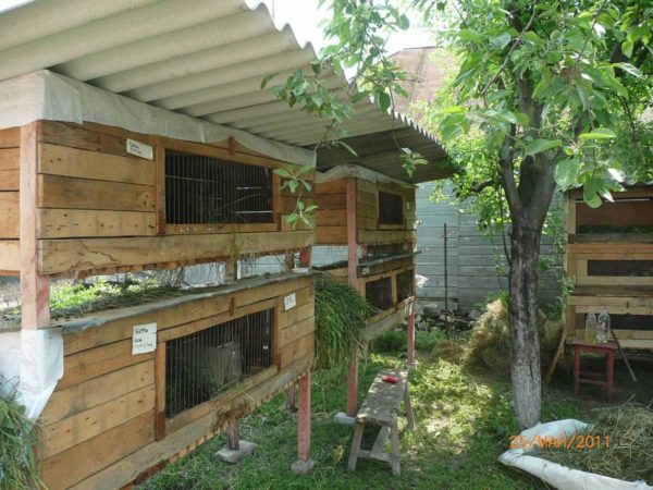 Si le lapin est ouvert, il n'y a qu'un auvent, les murs des cages sont doublés (maison mère exactement), une isolation est posée entre eux