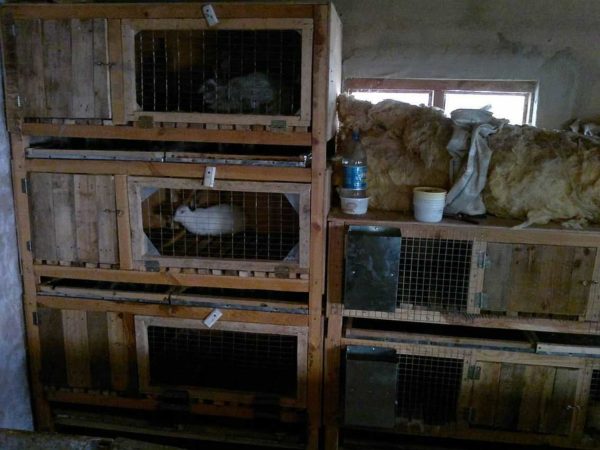 Collecté à partir de matériaux de rebut