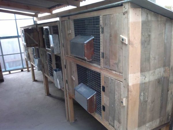 Le plus souvent chez le lapin, les cages sont en deux niveaux. C'est l'emplacement optimal pour l'entretien et l'utilisation de l'espace