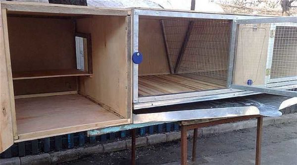 La cellule reine attachée à la cage pour le lapin