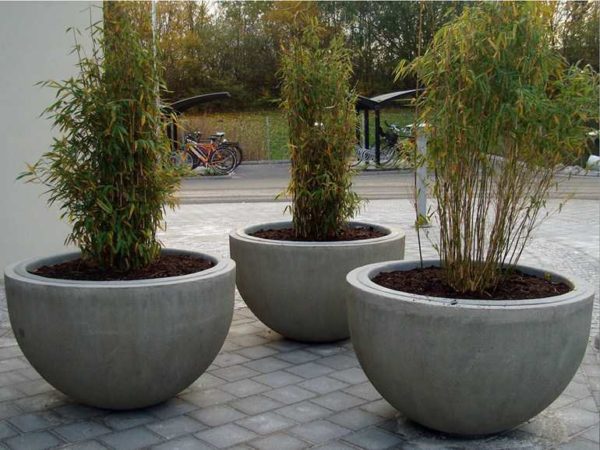 Les pots de fleurs d'extérieur en béton sont faciles à fabriquer de vos propres mains