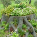 Des racines puissantes sont peintes, de la terre est également versée entre elles et des plantes sont plantées