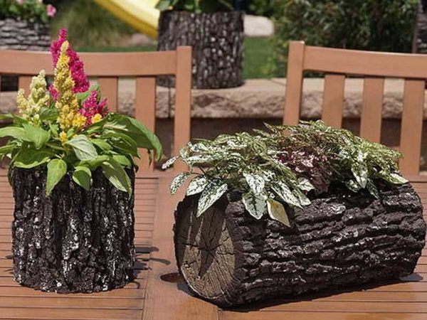 D'excellents pots de fleurs extérieurs décoratifs sont fabriqués à partir de troncs d'arbres.