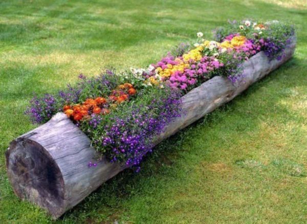 Les vases pour fleurs de souches et de troncs d'arbres peuvent être de différentes tailles
