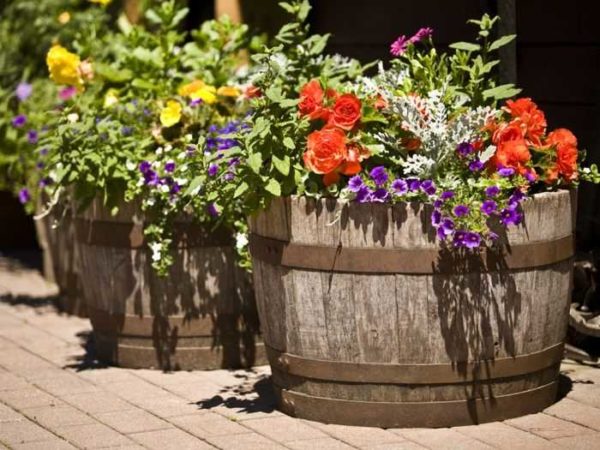 Avec des cuves ou des moitiés de barils, tout est généralement simple
