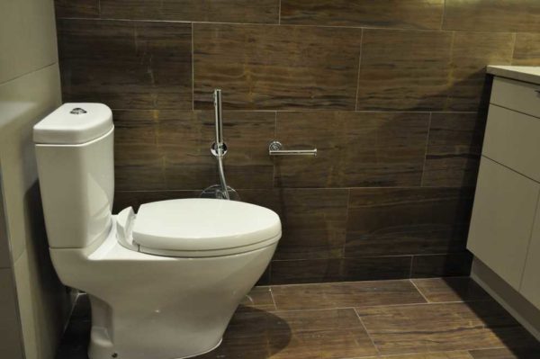 Toilette bidet douche - il y a plusieurs options