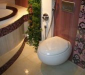 Sur le mur - une douche hygiénique pour les toilettes