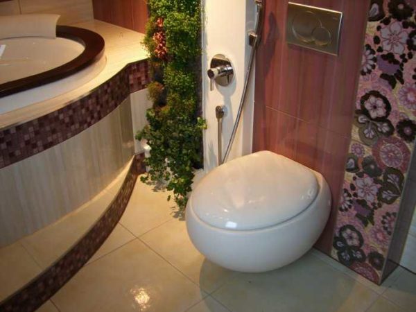 Sur le mur - une douche hygiénique pour les toilettes