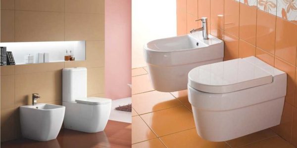 Selon la méthode d'installation, les cuvettes des toilettes sont posées au sol et suspendues