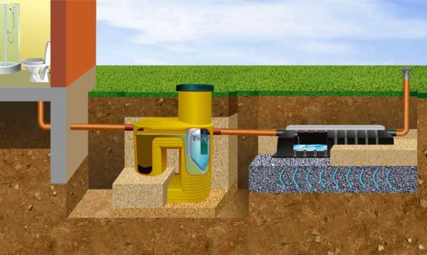 L'un des moyens de traitement supplémentaire des eaux usées après une fosse septique est un champ de filtration