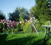 Pour arroser le jardin, vous devez sélectionner correctement la pompe