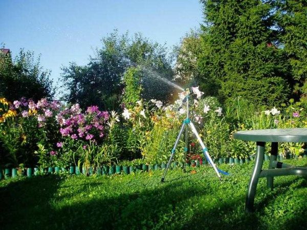 Pour arroser le jardin, vous devez sélectionner correctement la pompe