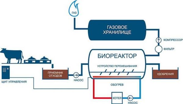Schéma de principe des installations de biogaz