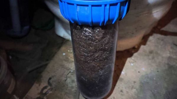 Filtre pour la purification du biogaz du sulfure d'hydrogène