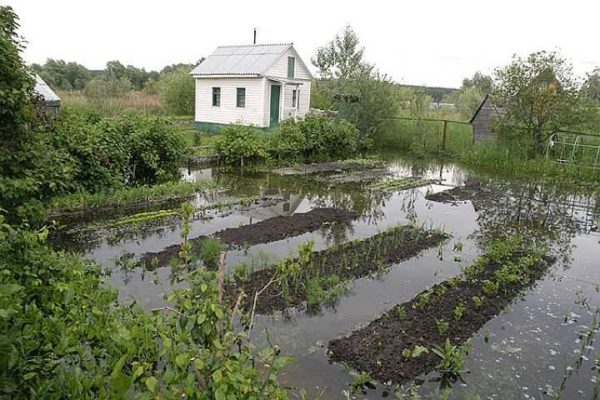 Pour éviter une telle situation, un drainage du site est nécessaire