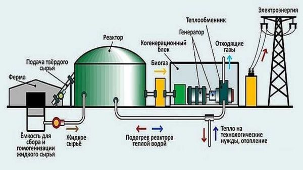 Il est préférable de localiser l'installation de biogaz de manière à ce que les déchets de la ferme puissent être fournis par motek