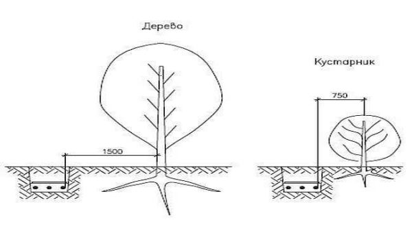 S'il y a plus de plantes, elles doivent être contournées.