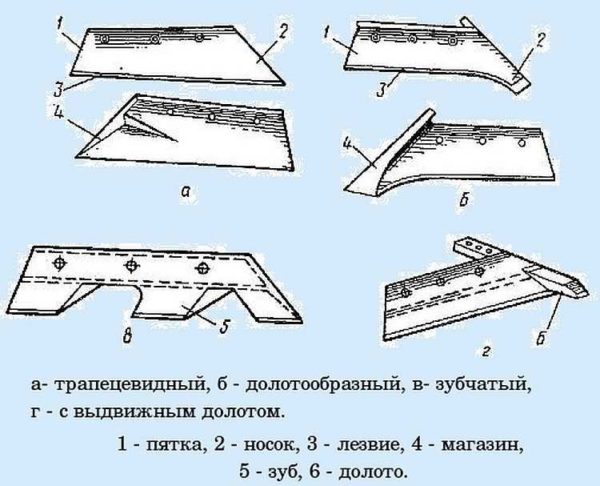 Formes de socs