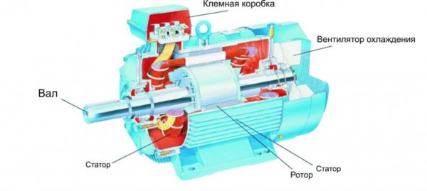 Structure du moteur asynchrone